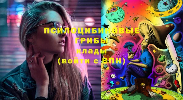 молекула духа Алексин
