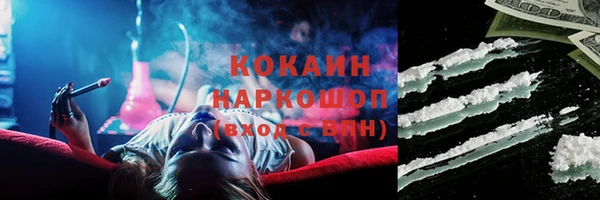 молекула духа Алексин