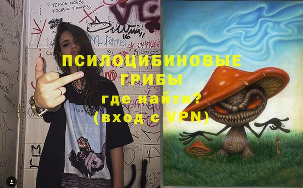 молекула духа Алексин