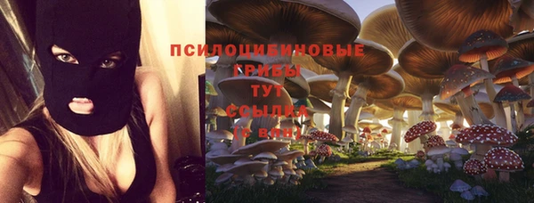 герыч Алзамай